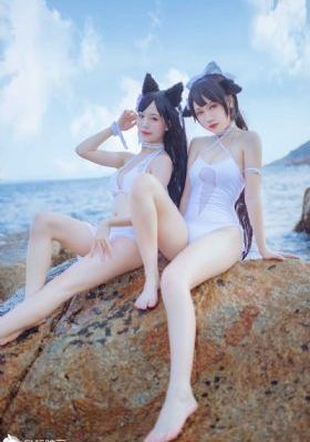 护心电视剧免费观看完整版