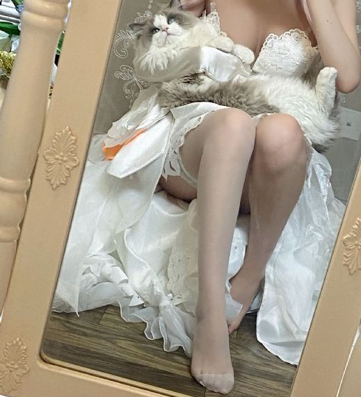 成人性动漫