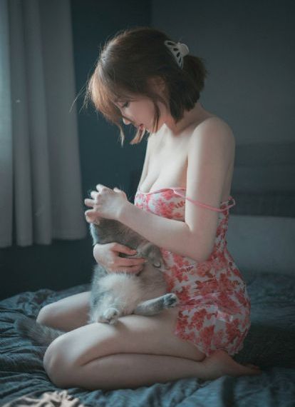 莲花电视剧