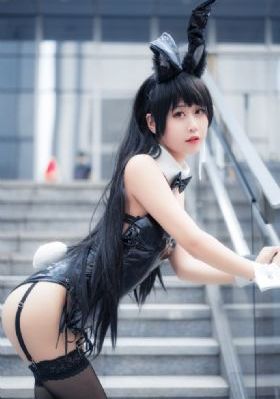 猫和老鼠185集免费看